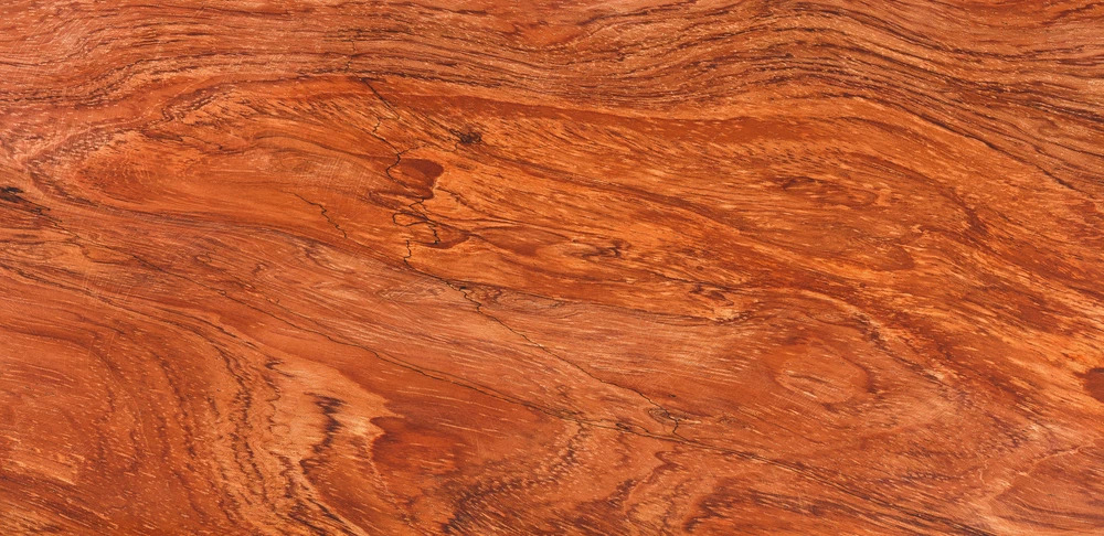Surface de plancher en bois massif avec finition vernie brillante présentant des veines naturelles prononcées dans des tons chauds orangés et bruns