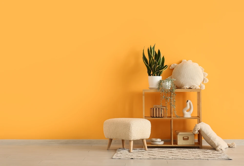 Pouf et étagère avec oreiller et plante dans le salon